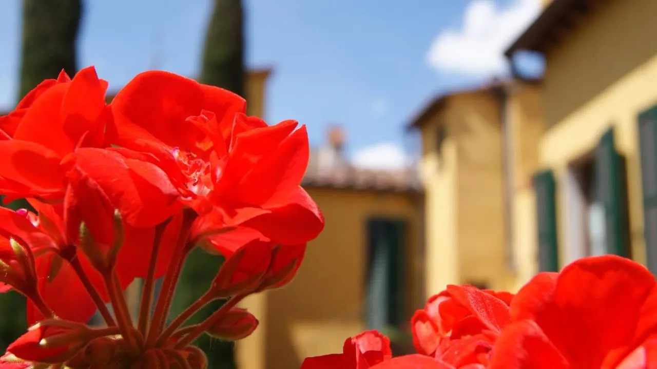 Al Canto B&B Florencia 2*,  Italia